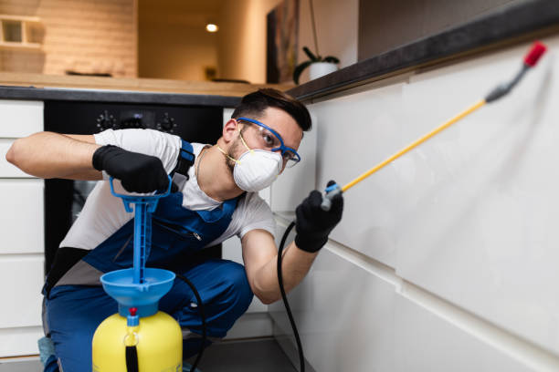 Best Wasp Removal Services  in Elmont, NY